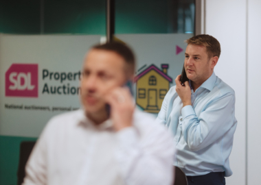 SDL-Auction-29